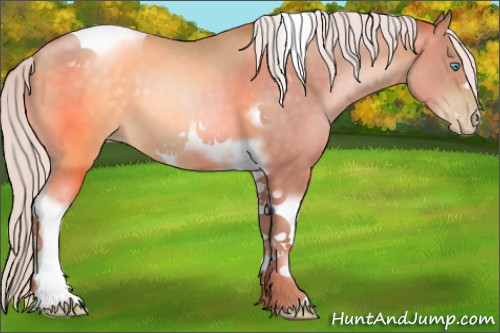Horse Color:Silver Smoky Black Pearl Tobiano Frame 