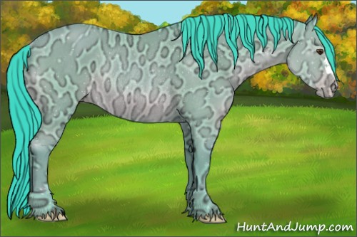 Horse Color:Watercolor Classic Champagne Ice Rabicano 