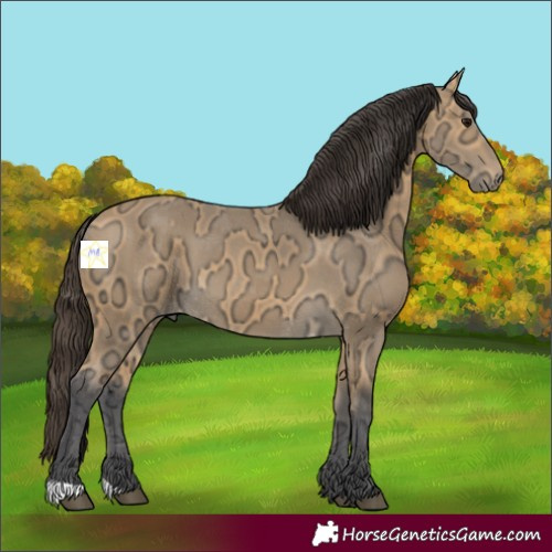 Horse Color:Buckskin Ice 