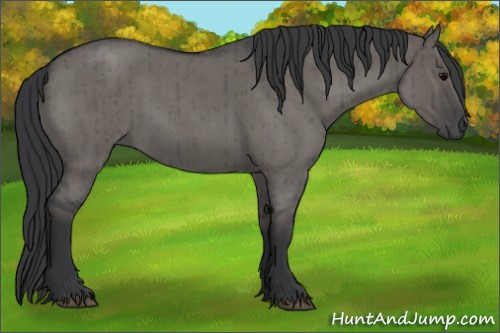 Horse Color:Grullo Roan Brindle 