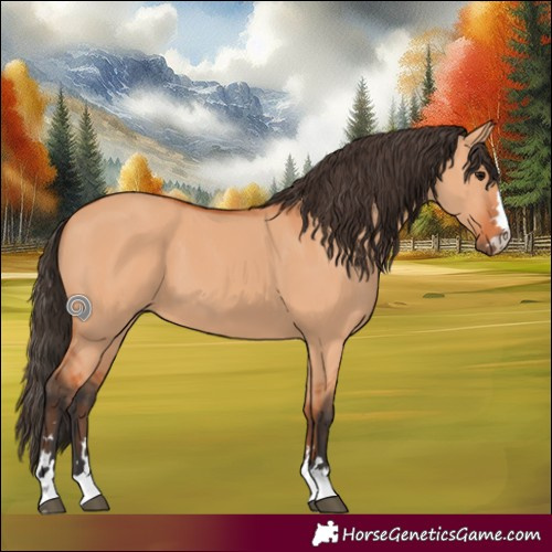 Horse Color:Bay Dun 