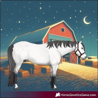 Horse Color:Platinum Buckskin Dun 