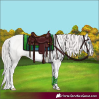 Horse Color:Platinum Perlino Tobiano 