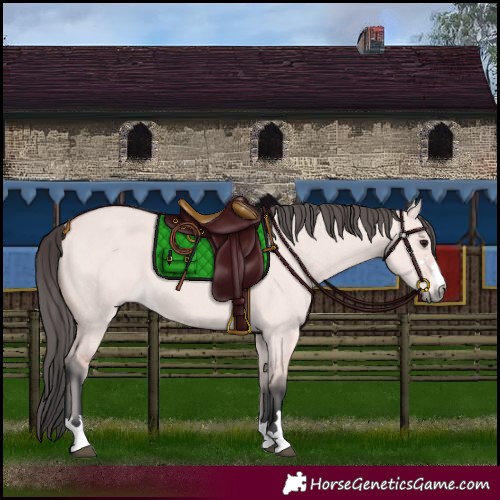 Horse Color:Platinum Bay Dun 
