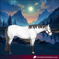 Horse Color:Platinum Buckskin Dun 