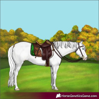 Horse Color:Platinum Cremello Dun Sabino 
