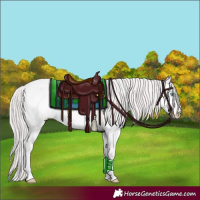 Horse Color:Platinum Perlino Dun 