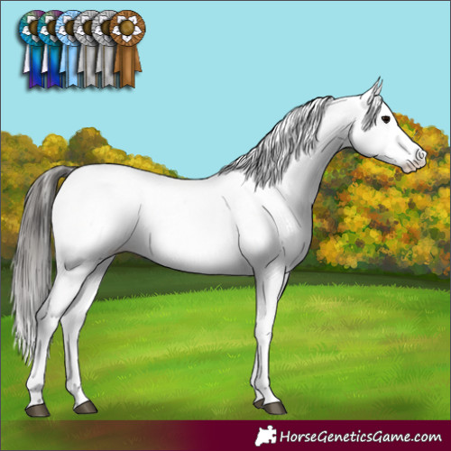 Horse Color:Black Fewspot