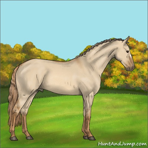Horse Color:Red Dun 