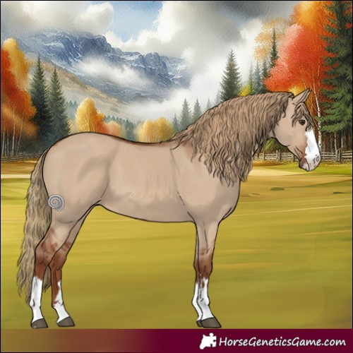 Horse Color:Red Dun