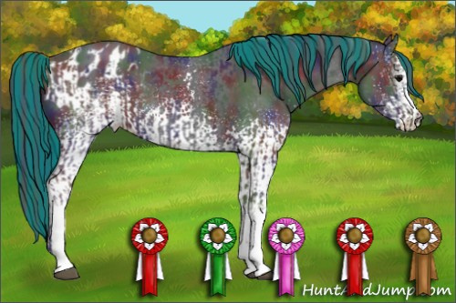 Horse Color:Painted Nacre White Spotted Black  and Painted Nacre White Spotted Black Appaloosa 