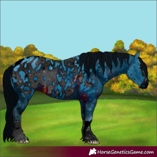 Horse Color:ERROR: UNKNOWN ANOMALY
