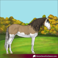 Horse Color:Classic Cream Champagne Splash 