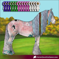 Horse Color:Watercolor Plaid White Spotted Chocolate Bay Ice Onyx