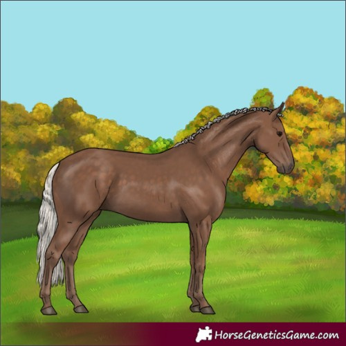 Horse Color:Silver Black 