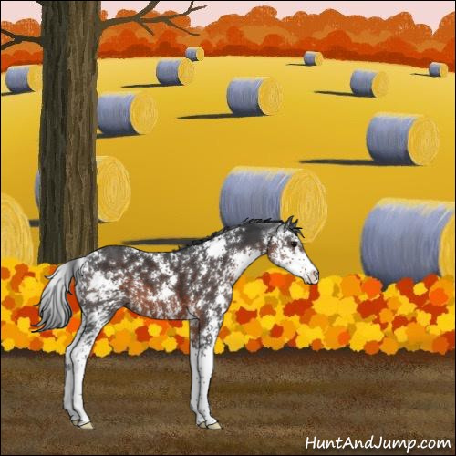 Horse Color:Brown Sabino 