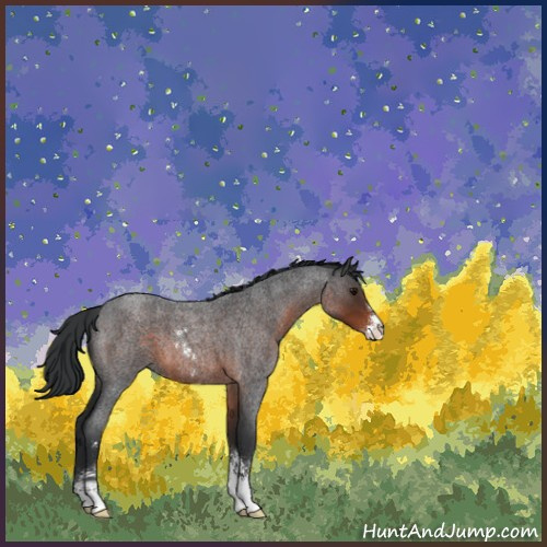 Horse Color:Brown Roan Sabino 