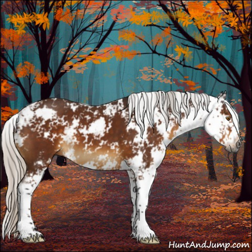 Horse Color:Gray Silver Buckskin Sabino 