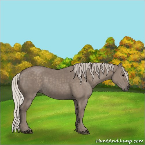 Horse Color:Silver Grullo