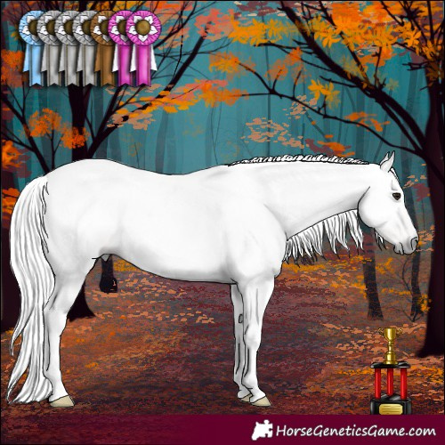 Horse Color:Gray Brown Sabino Tobiano Rabicano 