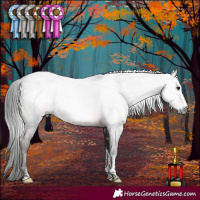 Horse Color:Gray Brown Sabino Tobiano Rabicano 