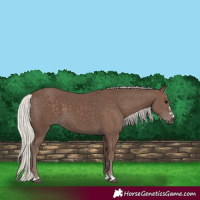 Horse Color:Silver Black 
