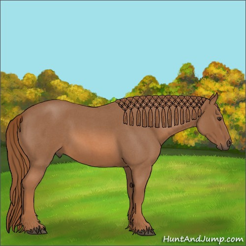 Horse Color:Red Roan