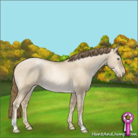 Horse Color:Smoky Grullo Pearl Rabicano