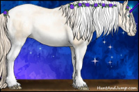 Horse Color:White Spotted Gold Cream Champagne Pearl Dun Tobiano 