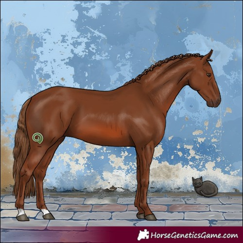 Horse Color:Chestnut 