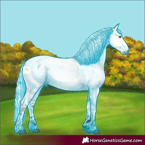Horse Color:Gray Thunderstruck Silver Grullo Appaloosa 