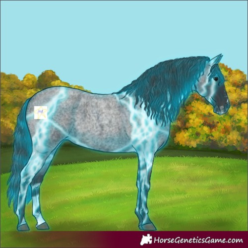 Horse Color:Thunderstruck Blue Roan Sabino Rabicano 