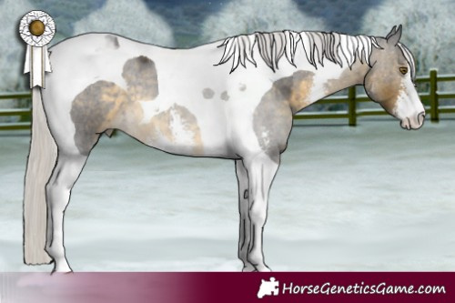 Horse Color:Silver Buckskin Sabino Tobiano 
