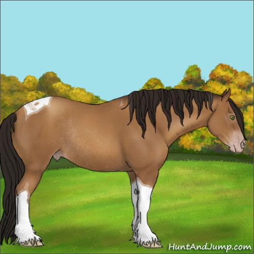 Horse Color:Gray Amber Champagne Tobiano Rabicano 