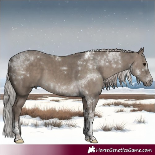 Horse Color:Silver Grullo Tobiano Brindle 