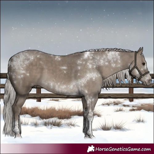 Horse Color:Silver Grullo Tobiano Brindle 
