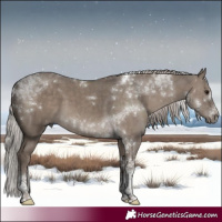 Horse Color:Silver Grullo Tobiano Brindle 