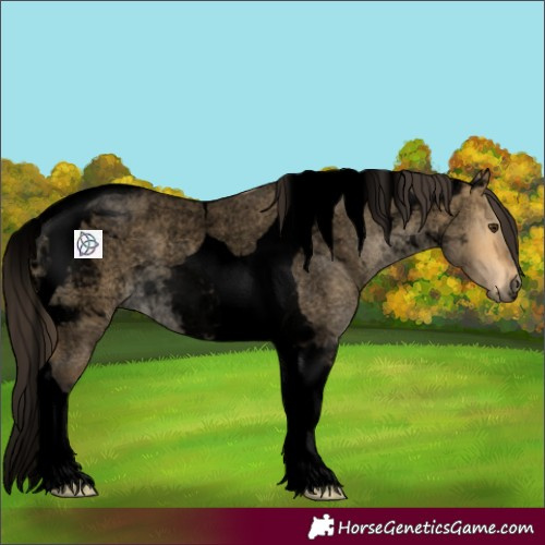 Horse Color:Void Buckskin Roan Dun Tobiano 