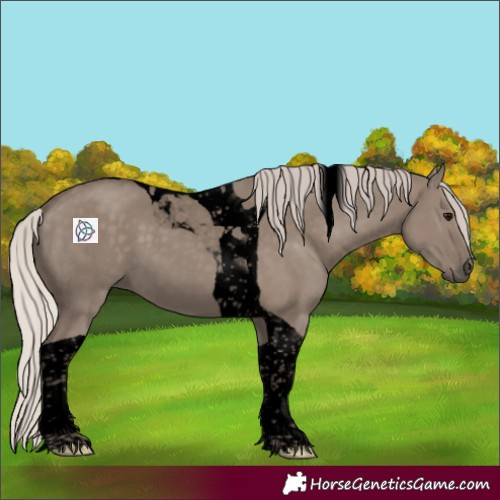 Horse Color:Void Silver Grullo Tobiano 