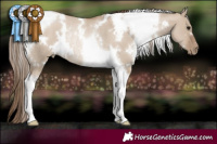 Horse Color:White Spotted Grullo Pearl Tobiano Rabicano 