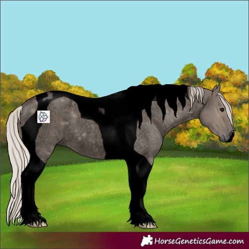 Horse Color:Void Silver Grullo Roan Tobiano 