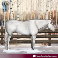 Horse Color:Perlino Sabino Tobiano Rabicano 