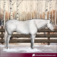 Horse Color:Perlino Sabino Tobiano Rabicano 