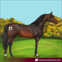 Horse Color:Brown 