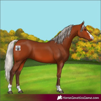 Horse Color:Silver Bay