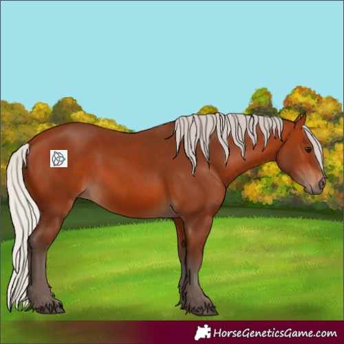 Horse Color:Silver Bay 