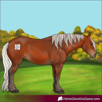 Horse Color:Silver Bay 