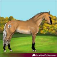 Horse Color:Void Silver Buckskin 