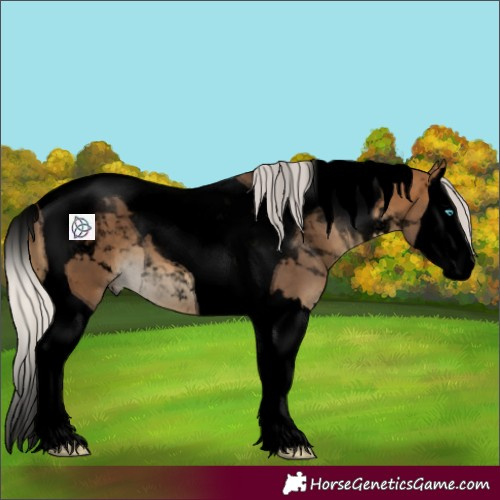 Horse Color:Void Silver Buckskin Splash Tobiano 