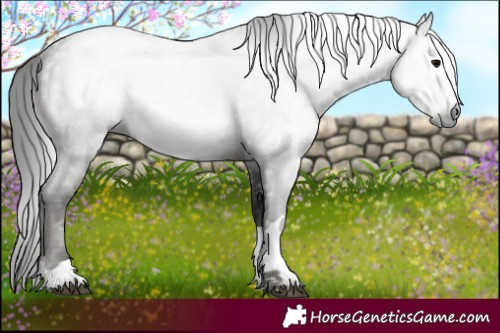 Horse Color:Gray Black 